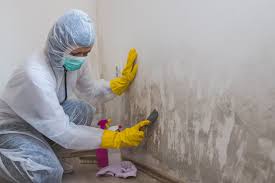 Best Mold Remediation for Rental Properties  in Tuscoosa, AL